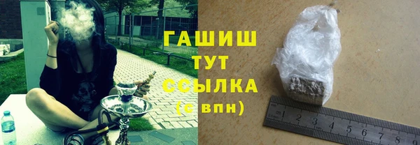 шишки Магас