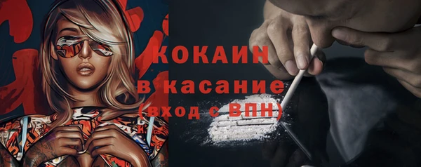 шишки Магас