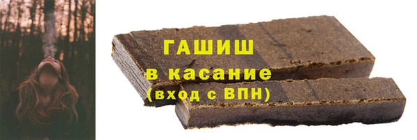 шишки Магас