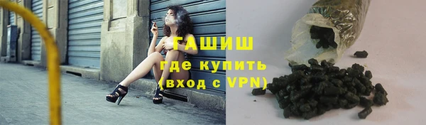 шишки Магас
