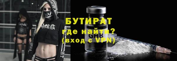 шишки Магас