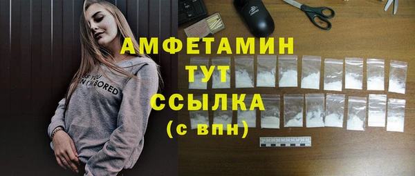 шишки Магас